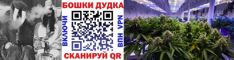 Купить где  Пыталово  Бошки Шишки VHQ 